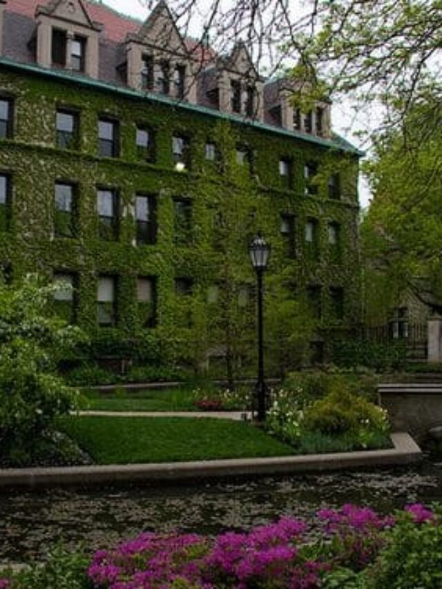 The University of Chicago USA