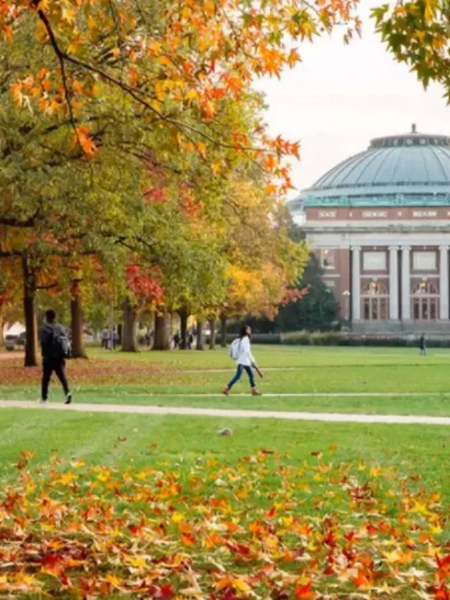 University of Illinois Urbana-Champaign