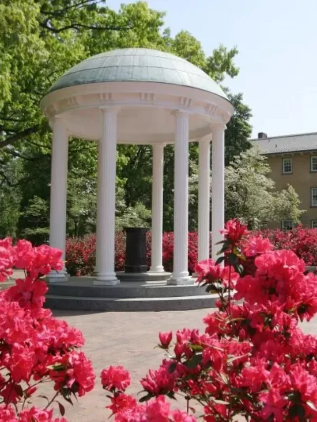 University of North Carolina at Chapel Hill